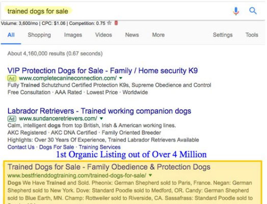 Google search results page of trained dogs for sale.