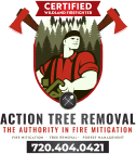 Logo for action tree removal featuring a graphic of a lumberjack with an axe, text, and contact information.